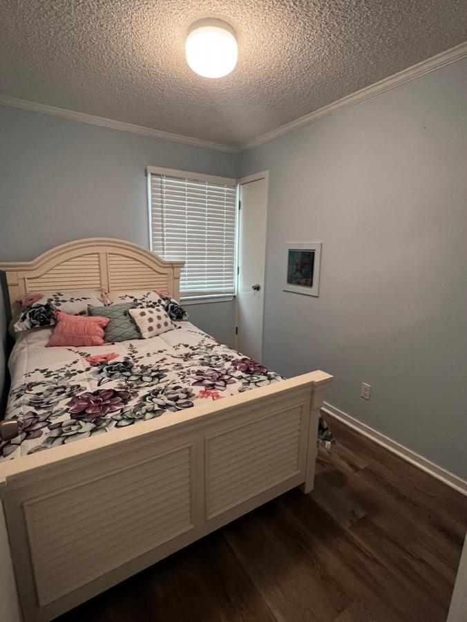 شاطئ نورث ميرتل C Level Condo المظهر الخارجي الصورة